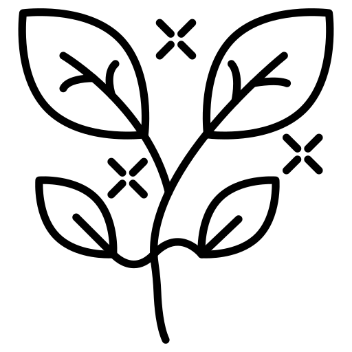 Fraicheur